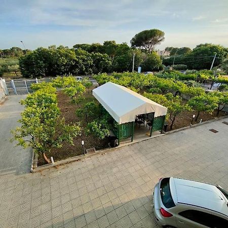 Appartamento Roccaforte Bi Rosso Trapani Dış mekan fotoğraf
